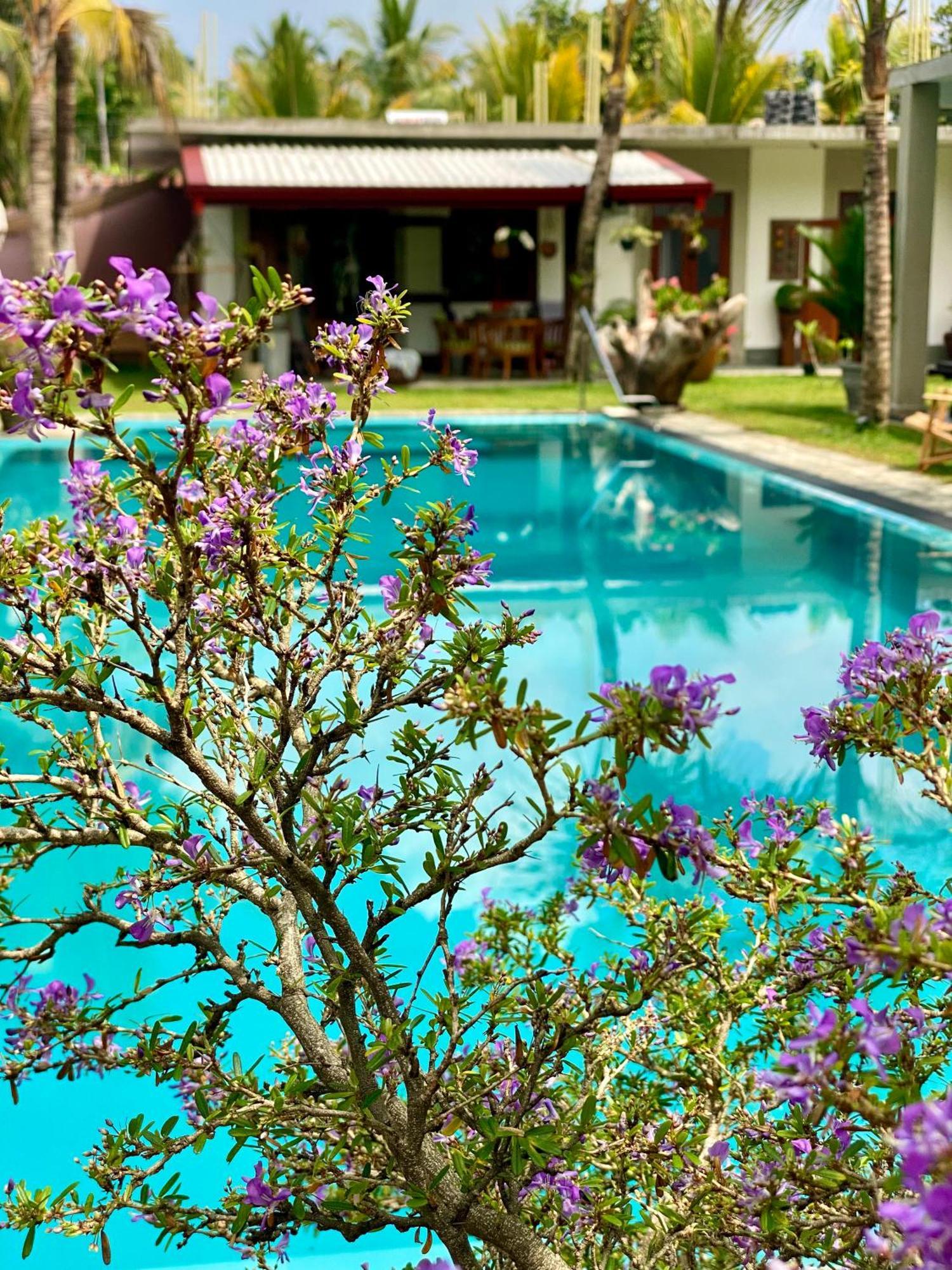 Bed and Breakfast Sri Palms Косгода Экстерьер фото